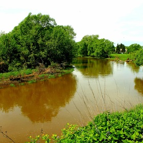 река Истра в окрестностях платформы "Троицкая"(Рижское направление)